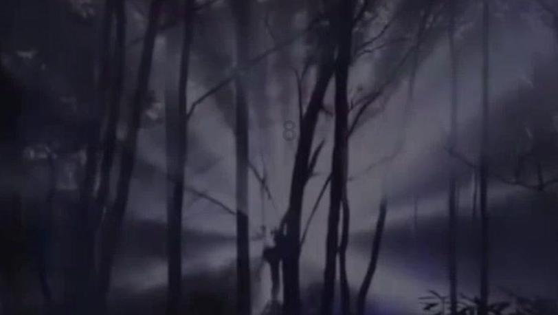 看门狗2