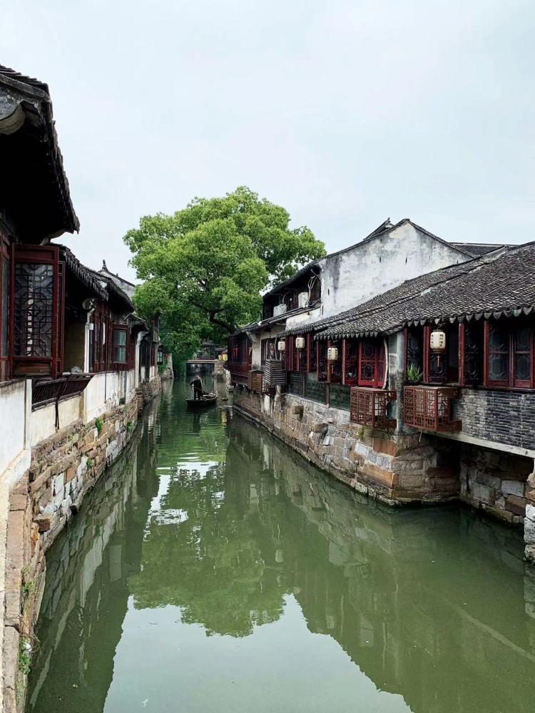 逃离梦想花园