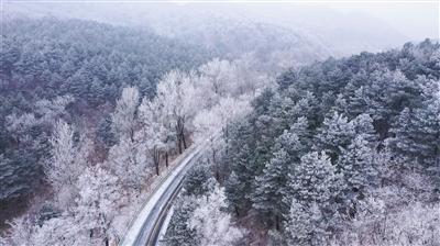 鲜奶运输车找不同
